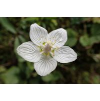 p9070095