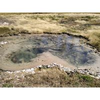 yellowstone_2019_18