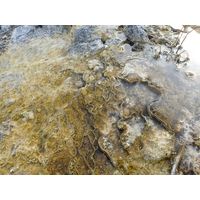 yellowstone_2019_41