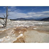 yellowstone_2019_8