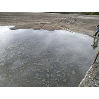 oscillarietum na Škaredém