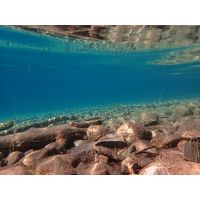 vápencové jezero Östra Blanktjärna II. pod vodou.