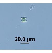 Tetraedron minimum