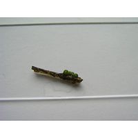Chaetophora elegans