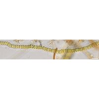 Flintia transversalis
