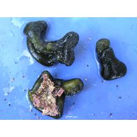 Codium effusum