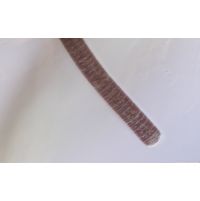 Tenebriella amphibia