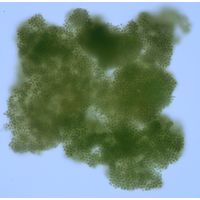Microcystis ichyoblabe