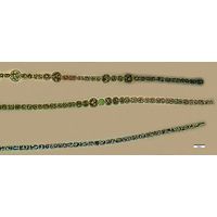 Sphaerospermopsis aphanizomenoides