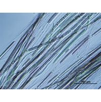 Phormidium subfuscum