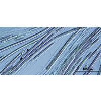 Phormidium subfuscum
