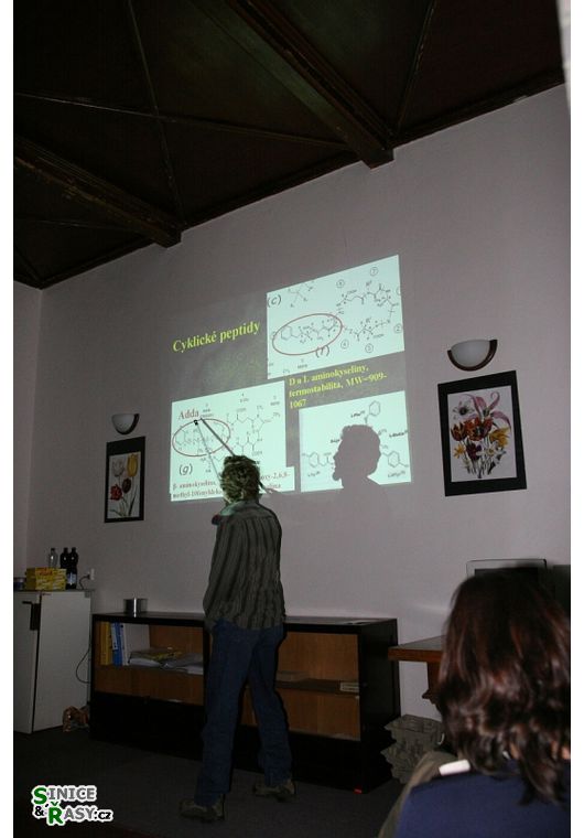 chantra2006-062