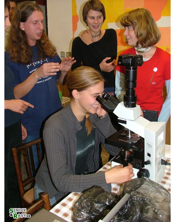 Chantransia 2005, Lomy u Jindřichova Hradce