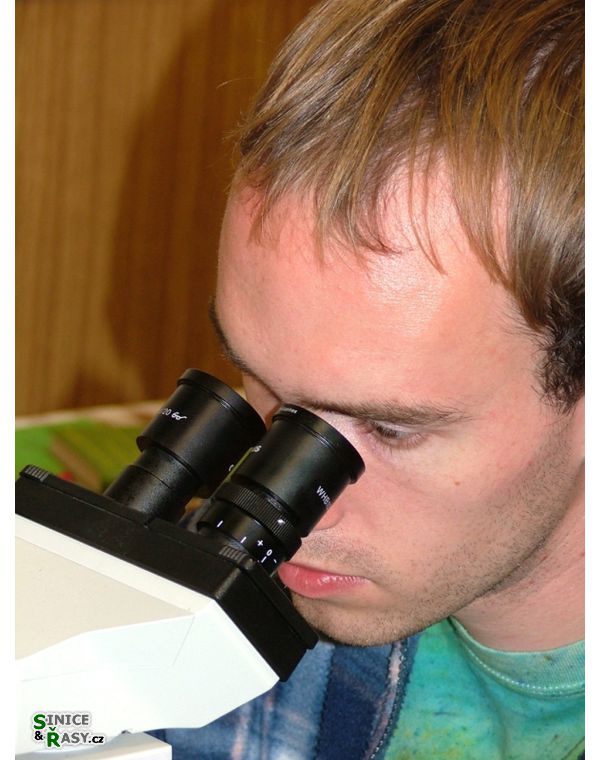 Chantransia 2005, Lomy u Jindřichova Hradce