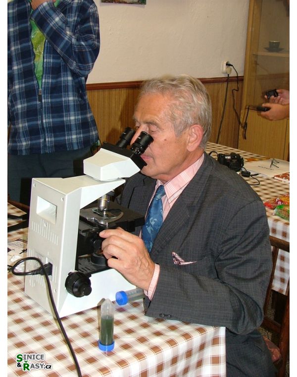 Chantransia 2005, Lomy u Jindřichova Hradce