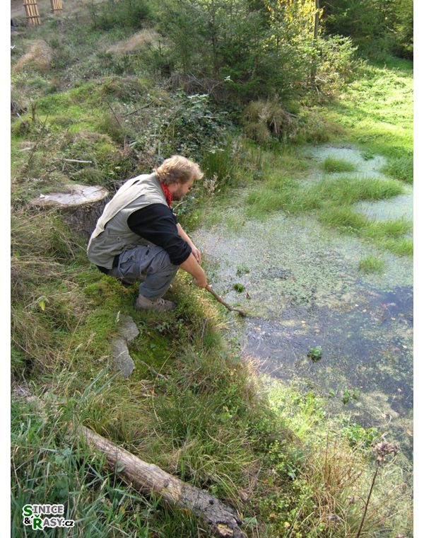 Chantransia 2005, Lomy u Jindřichova Hradce