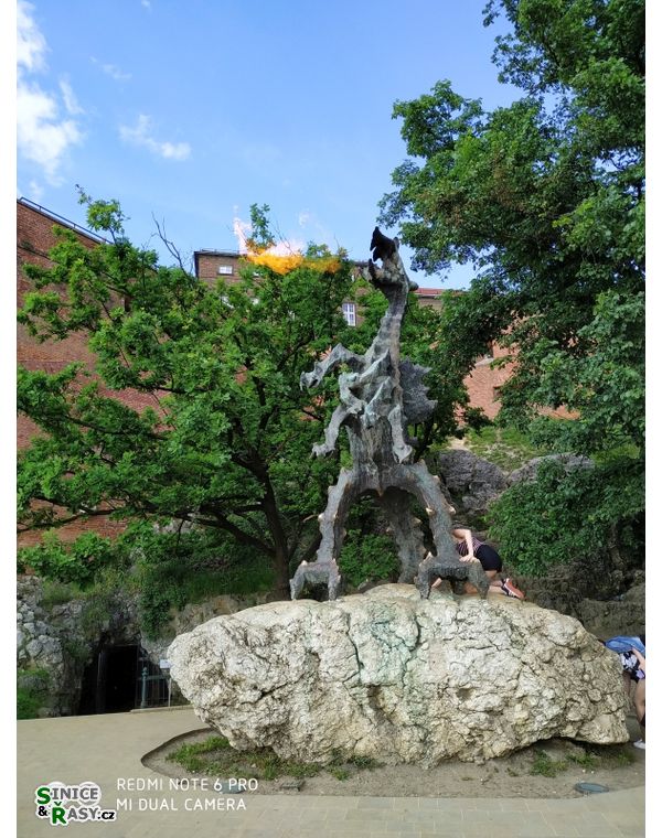 Polish Phycological Society Symposium
