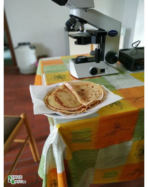 se sladkou odměnou. Díky Pepo!