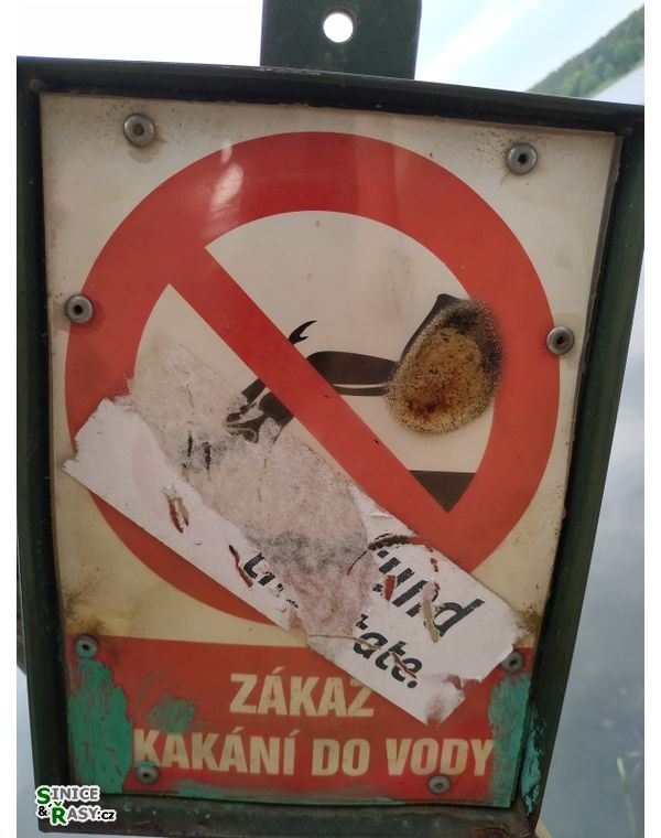 tak my teda nebudeme