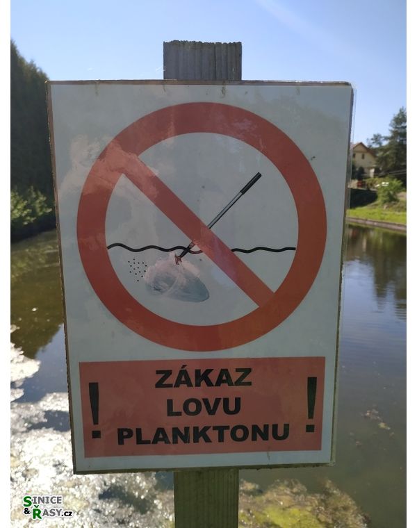 hromnický zákaz