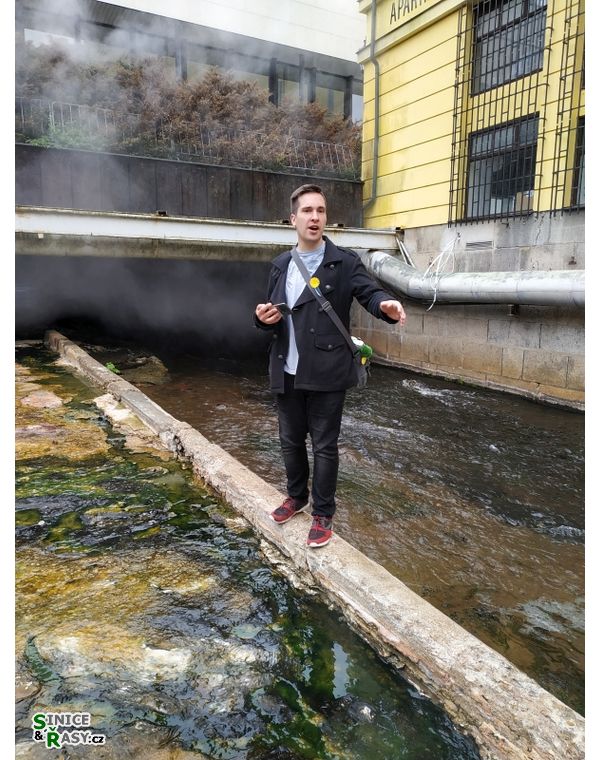 Piškotovo karlovarské kázání