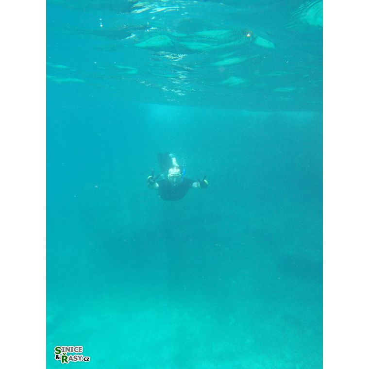 veruda2011-057