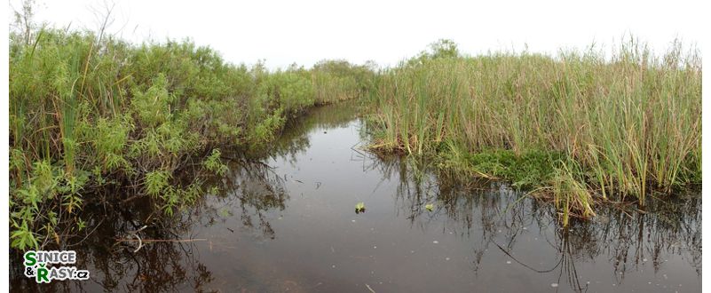florida-2013-041