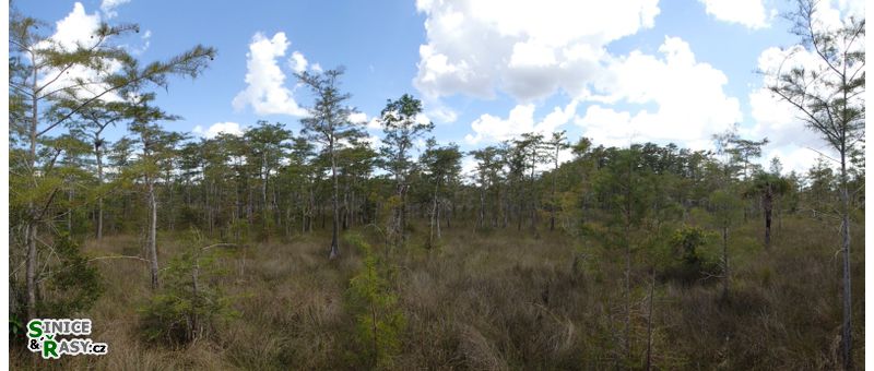 florida-2013-072