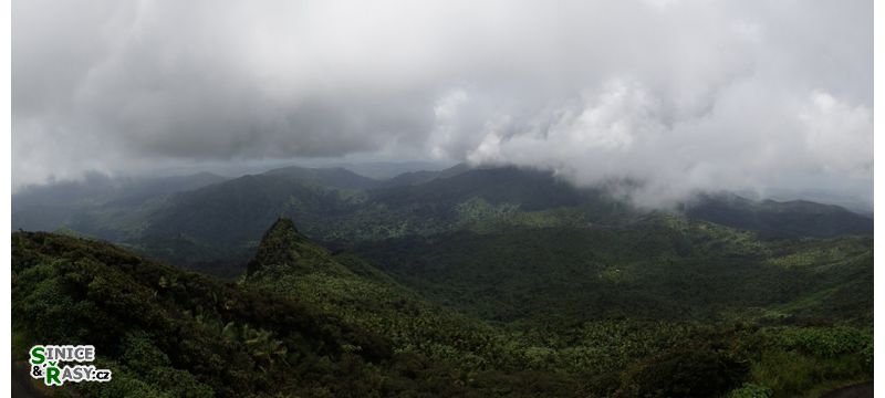 el-yunque-highland-puerto-rico-2013-060