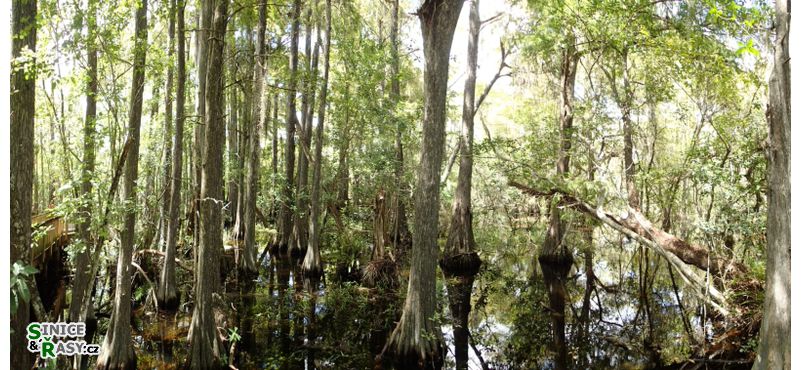 florida-2013-074