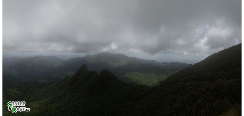 el-yunque-highland-puerto-rico-2013-055
