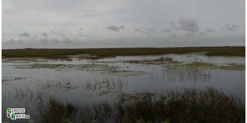 florida-2013-046