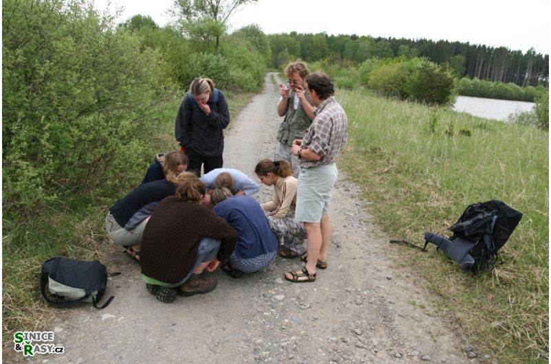 img-0653