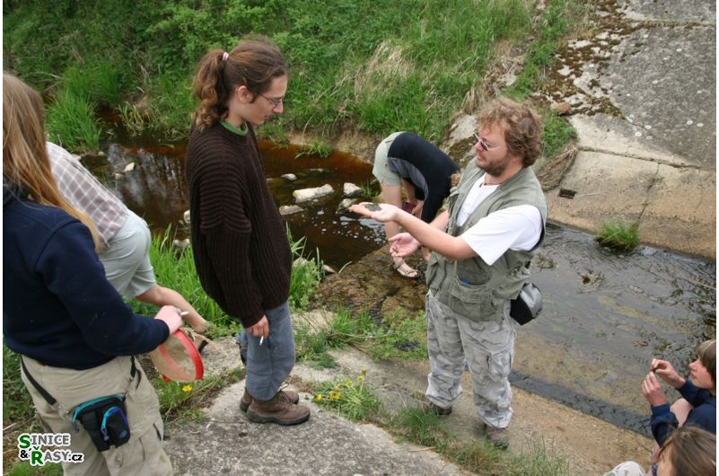 img-0661