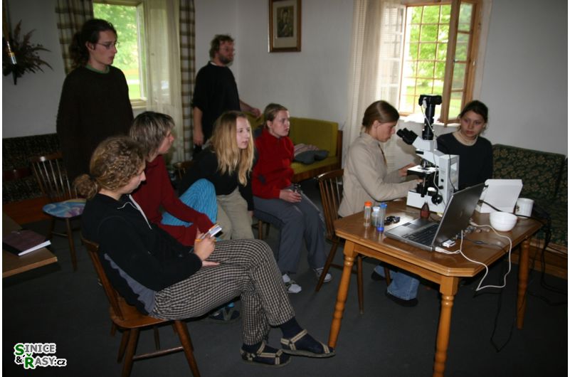 img-0750