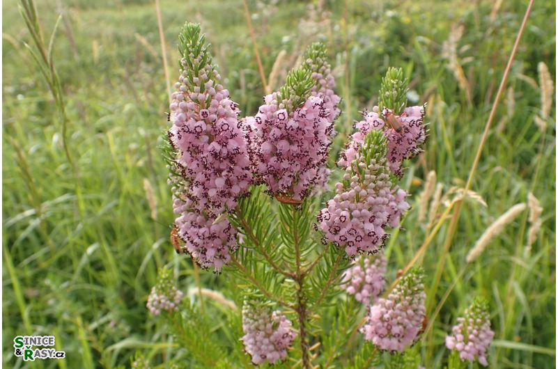 mezioborov-exkurze_2019_3