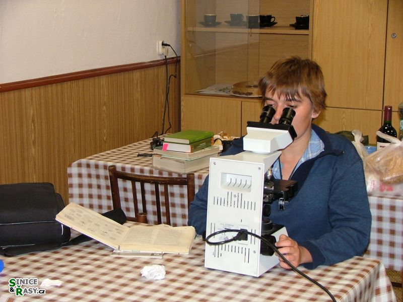 Chantransia 2005, Lomy u Jindřichova Hradce