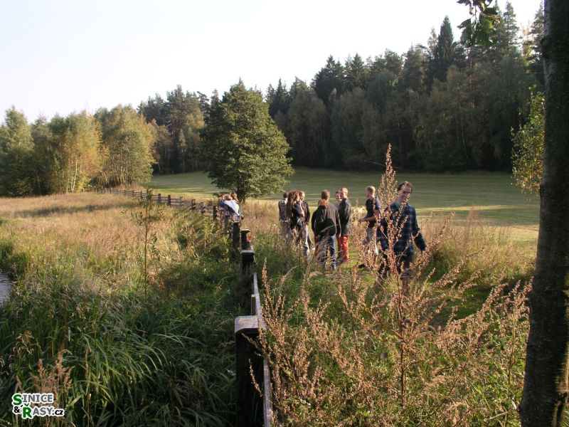 Chantransia 2005, Lomy u Jindřichova Hradce