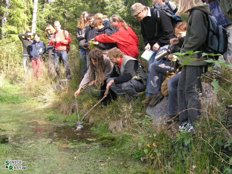 Chantransia 2005, Lomy u Jindřichova Hradce