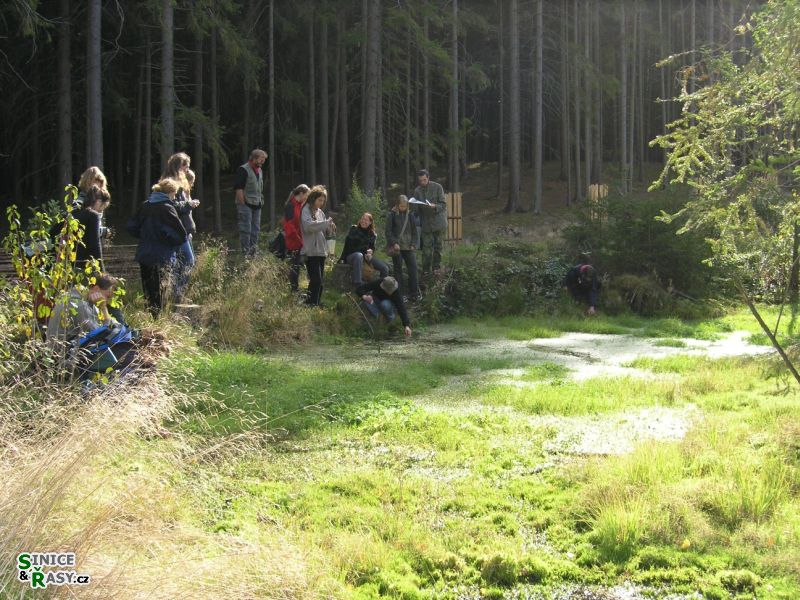 Chantransia 2005, Lomy u Jindřichova Hradce