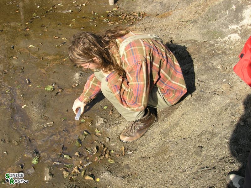 Chantransia 2005, Lomy u Jindřichova Hradce