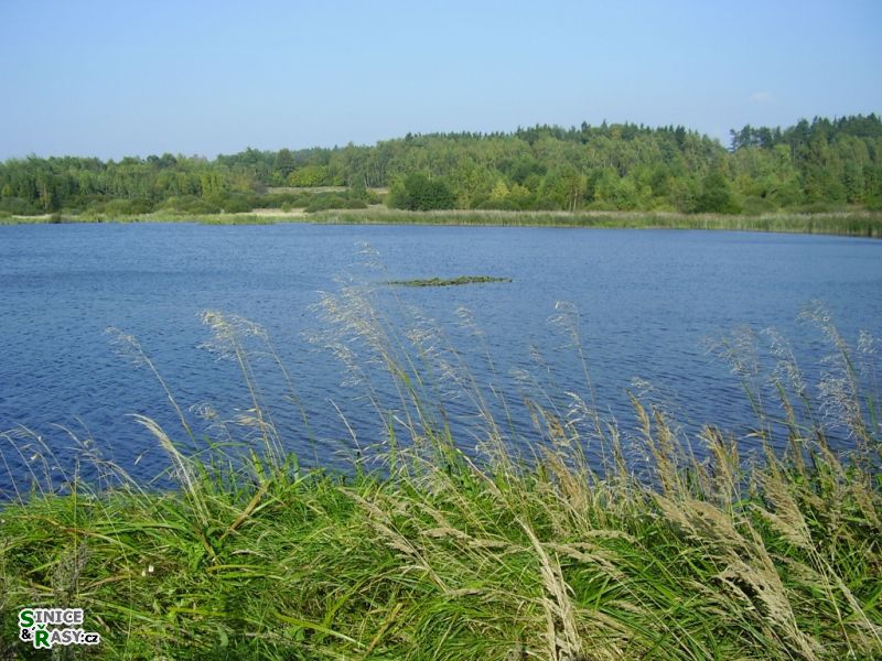 Chantransia 2005, Lomy u Jindřichova Hradce