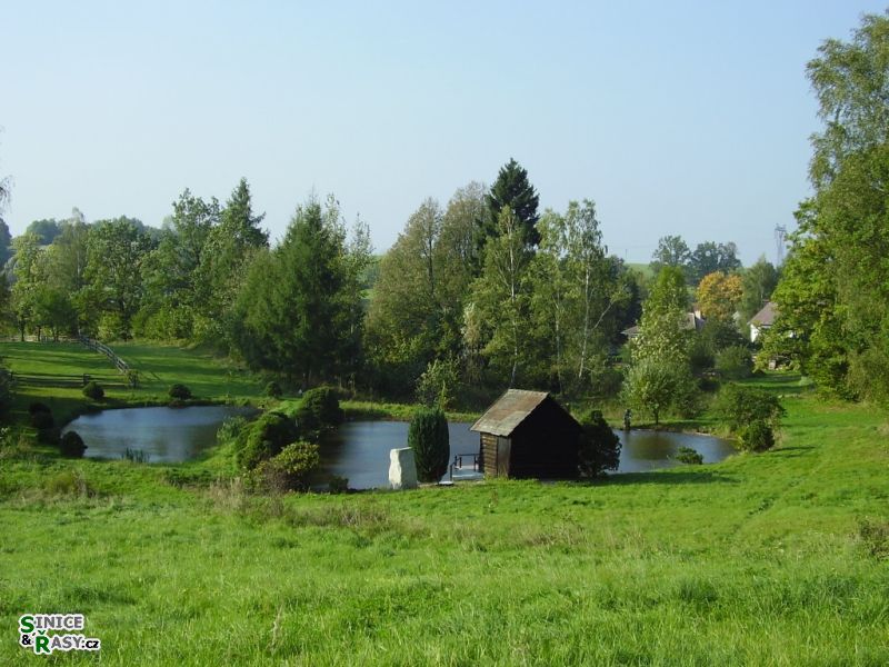 Chantransia 2005, Lomy u Jindřichova Hradce