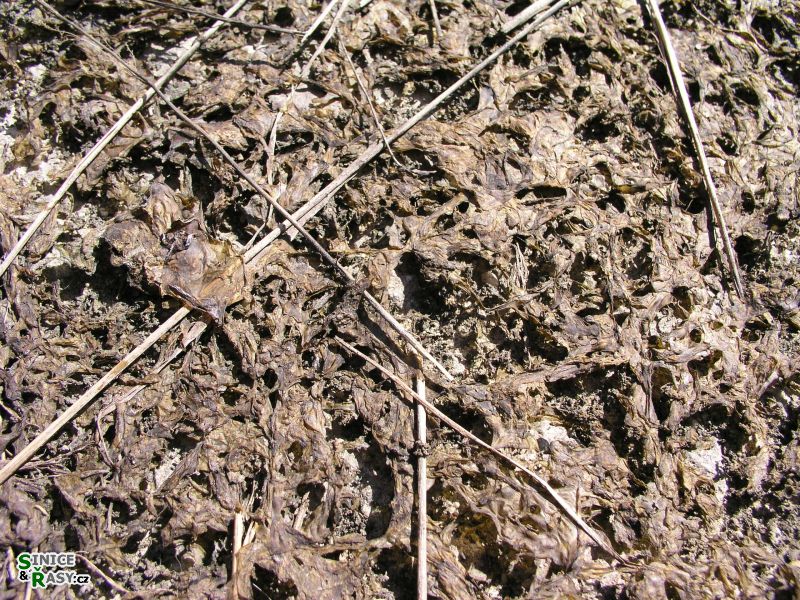 p1010156