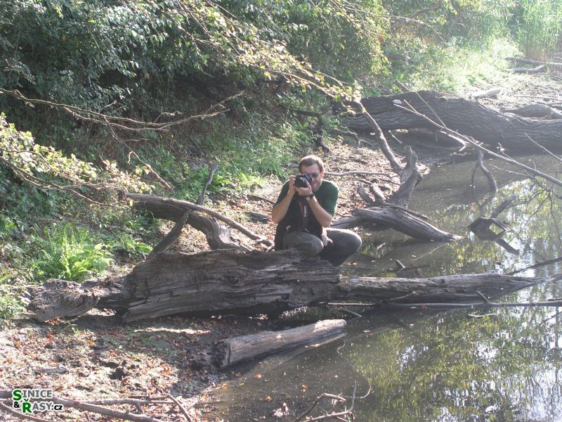 chantra2006-072a