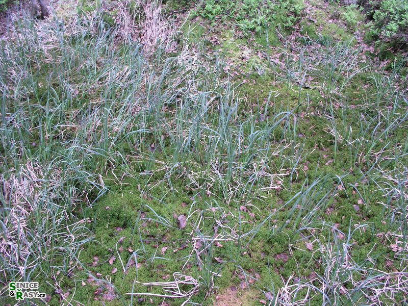 p1010858