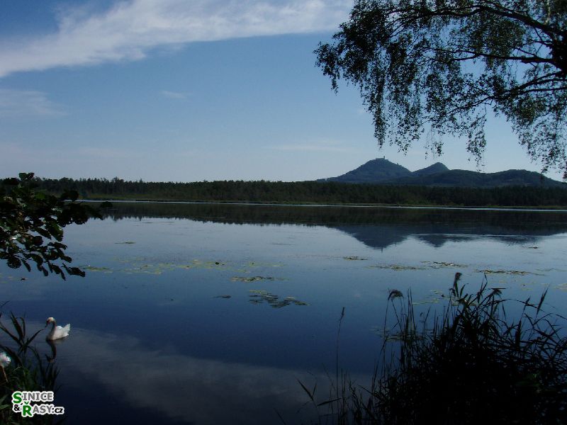 p8050605