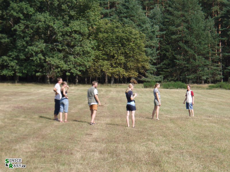 p8050607
