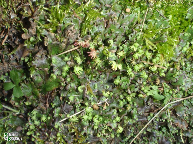 p6150057