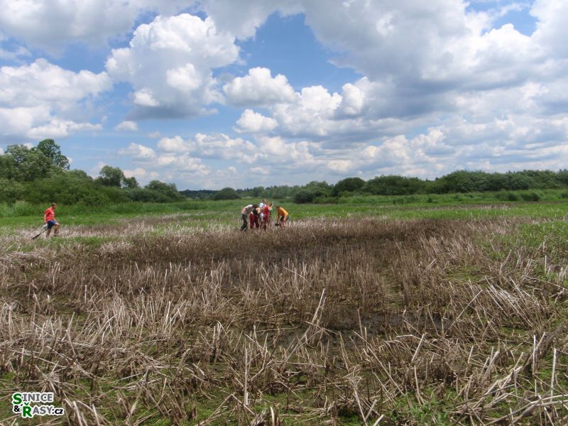 p6150060